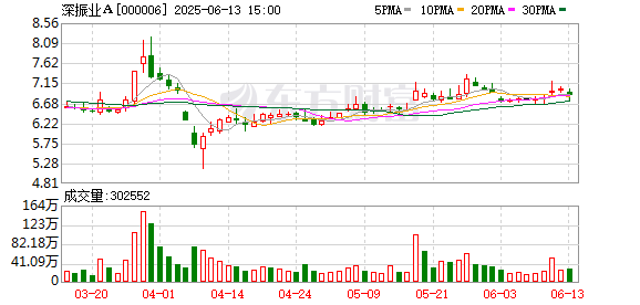 涨8配资 深振业A：2024年度股东大会决议公告