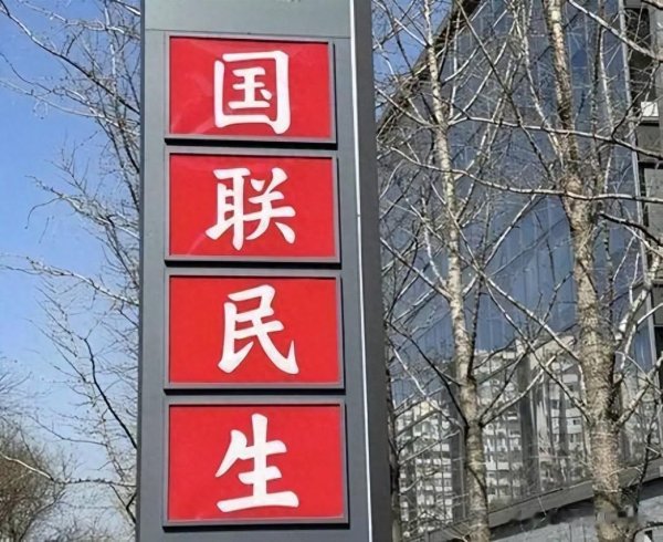 点点策略网 保荐项目财务造假, 国联民生刚重组完就要赔钱
